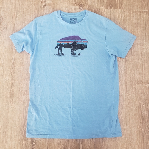 Patagonia Other - Patagonia Buffalo Mens Shirt Size L Slim Fit Cotton T Shirt Light Blue Outdoors